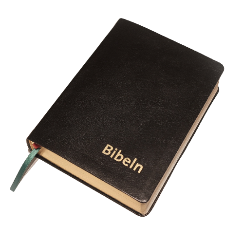 Bibeln svart skinn