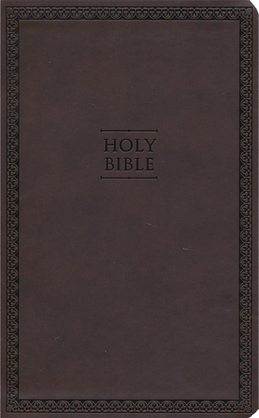 NIV Thinline Bible - Brun