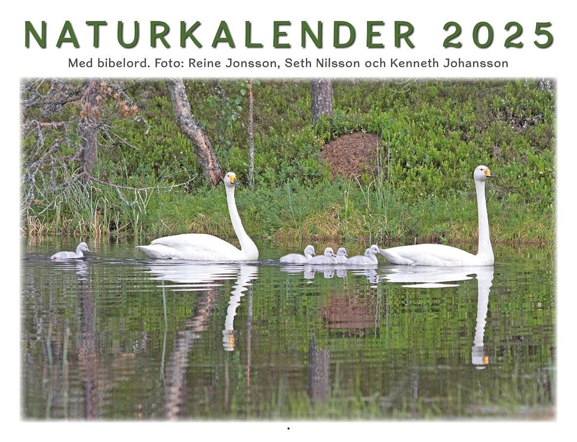 Naturkalender 2025 - Reine Jonsson