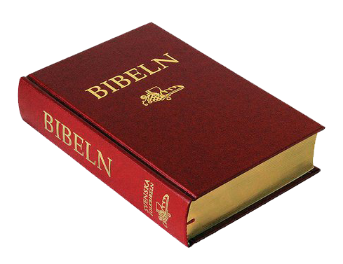 Svenska Folkbibeln 2015, mellanformat, röd hård pärm