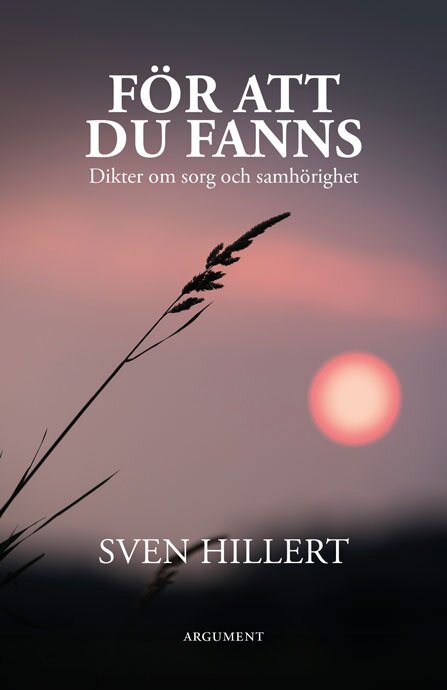 För att du fanns