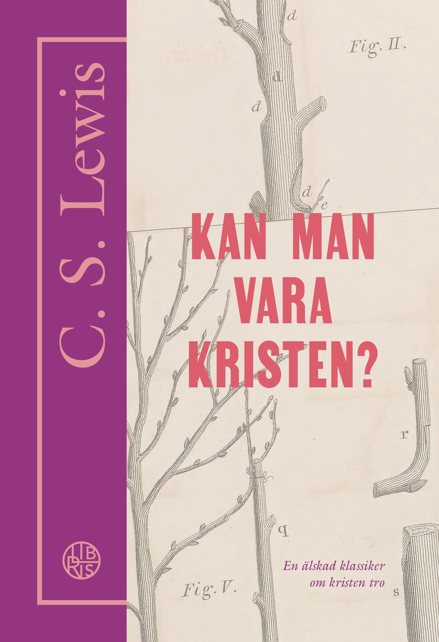 Kan man vara kristen?